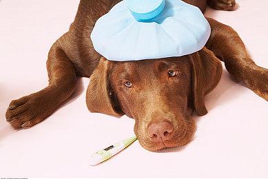 传育碧在开发新的《刺客信条》RPG 可能设定在阿兹特克时代